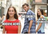 NucleicAcids7's tweet photo. @Carbolicious247 @ProteinInk @Lipids4prez https://t.co/o83NnzLBg9