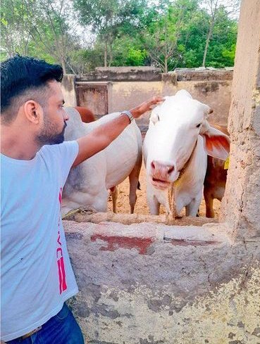 ShreyVarGautam1's tweet photo. #savecows #lumpydump गौ सेवा परम सेवा @narendramodi ji 🙏 please solve the problem of disease outbreak in cows.... https://t.co/ITO72MAjrj