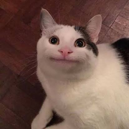 luvulovemycats's tweet image. ล้างแท็กแทบตายสุดท้ายขึ้นเทรน555555 #กองโจรสับปาก