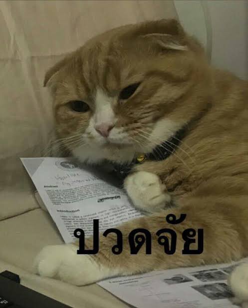 luvulovemycats's tweet image. ล้างแท็กแทบตายสุดท้ายขึ้นเทรน555555 #กองโจรสับปาก