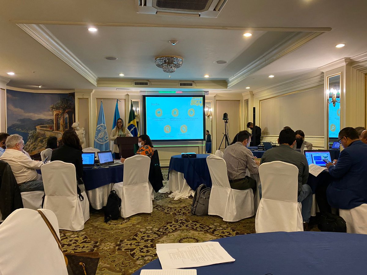 FAO HONDURAS tweet media