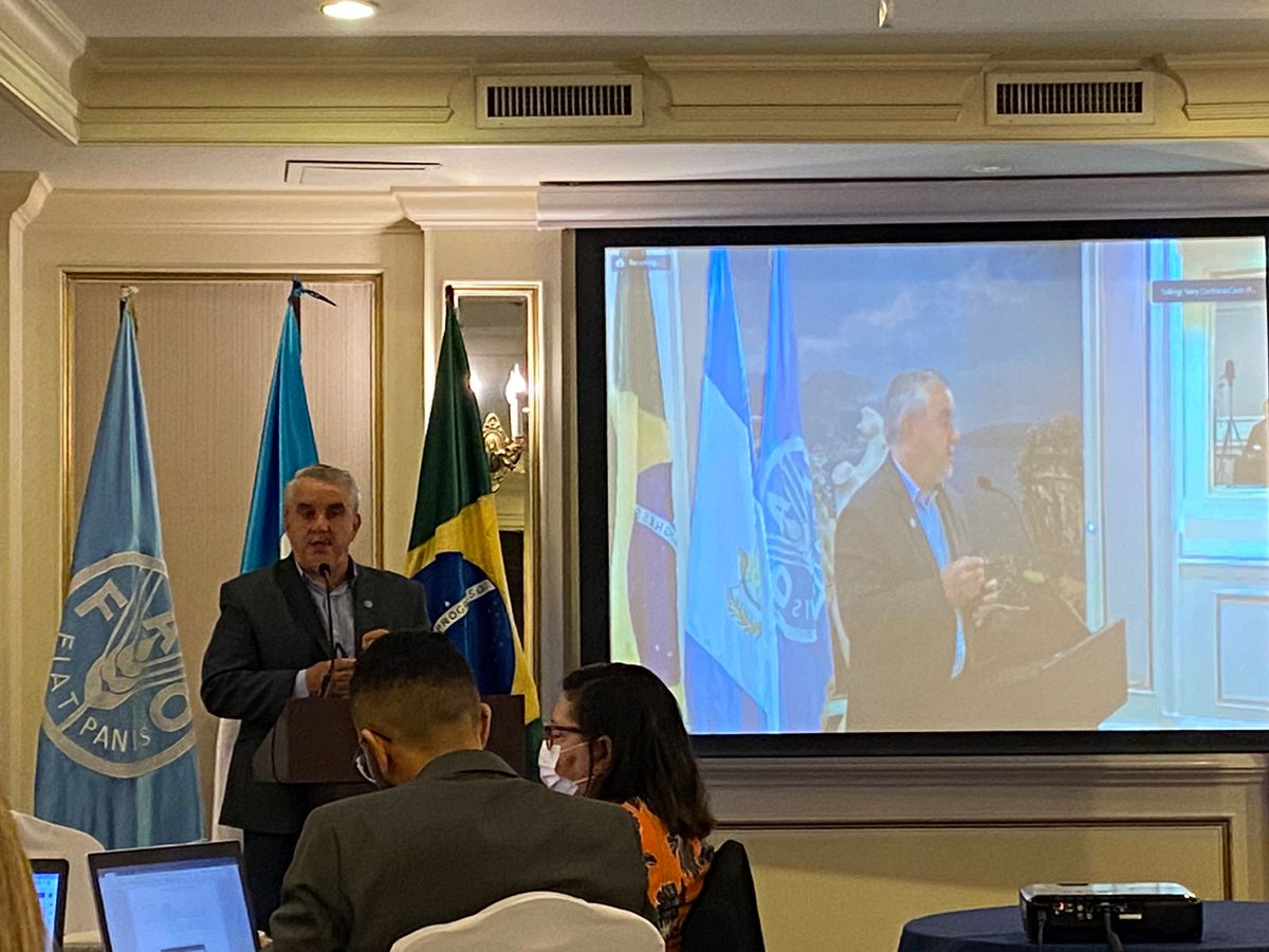 FAO HONDURAS tweet media