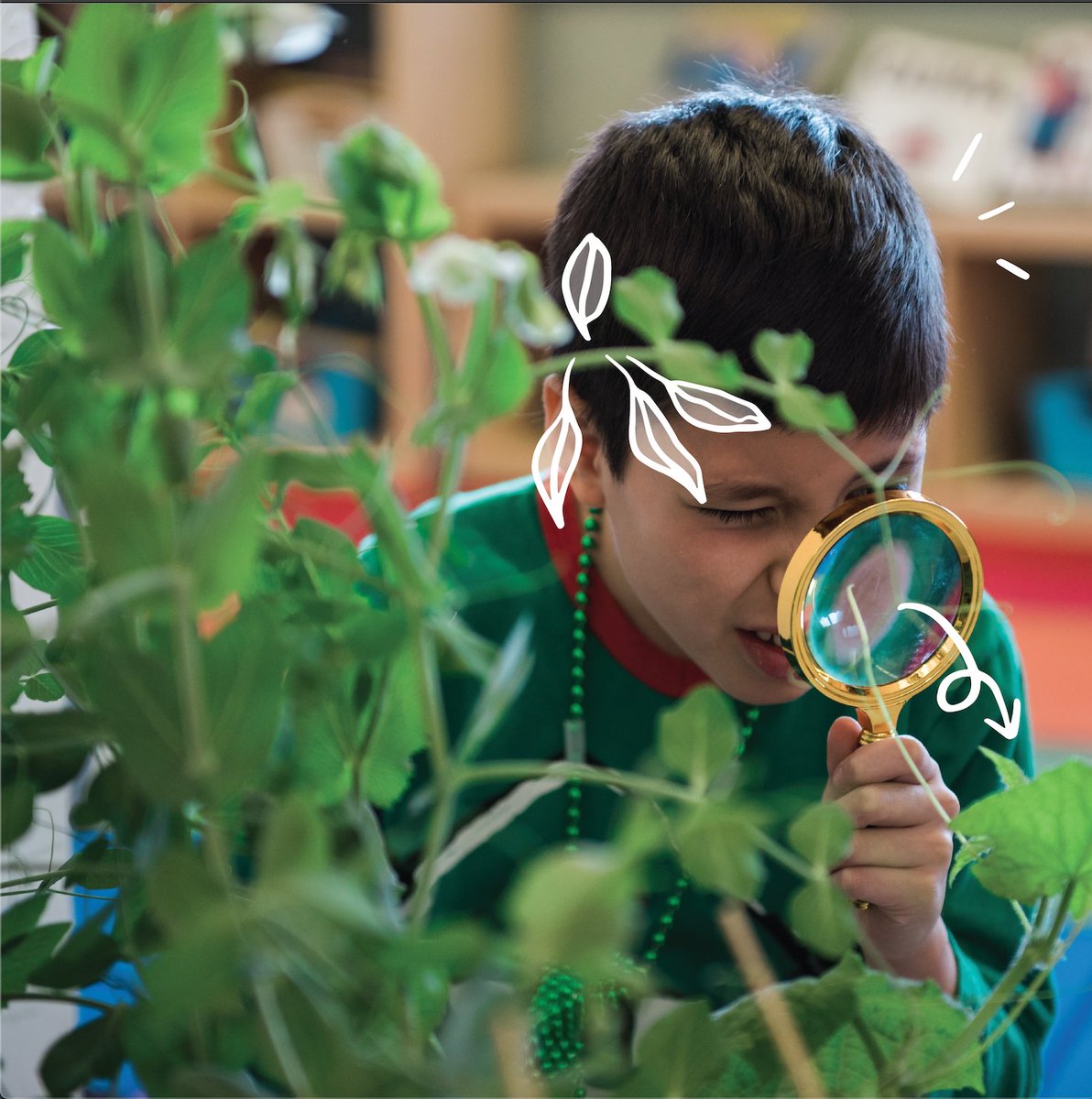 Gardening as a class teaches teamwork, empathy, respect and positive human relationships. An environment where children feel valued, respected, and encouraged by their peers produces not only academic benefits but also mental, social and emotional well being as well!