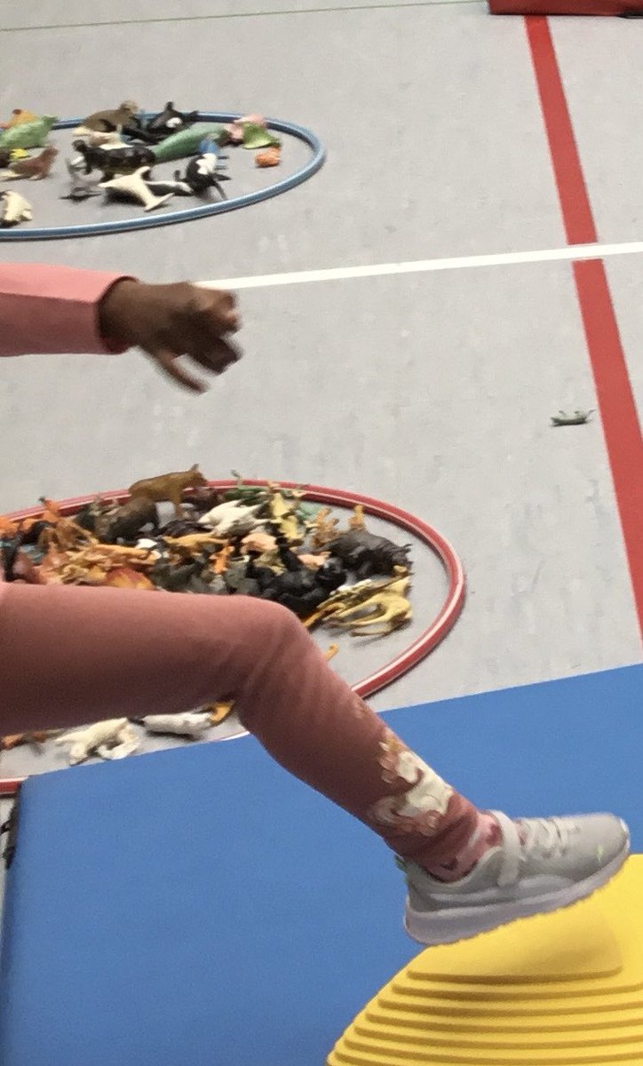 Students working on balancing, jumping, and landing as they rescue animals from Volcano Island. They did a great job sorting animals into land and ocean animals. #FISW #PhysEd