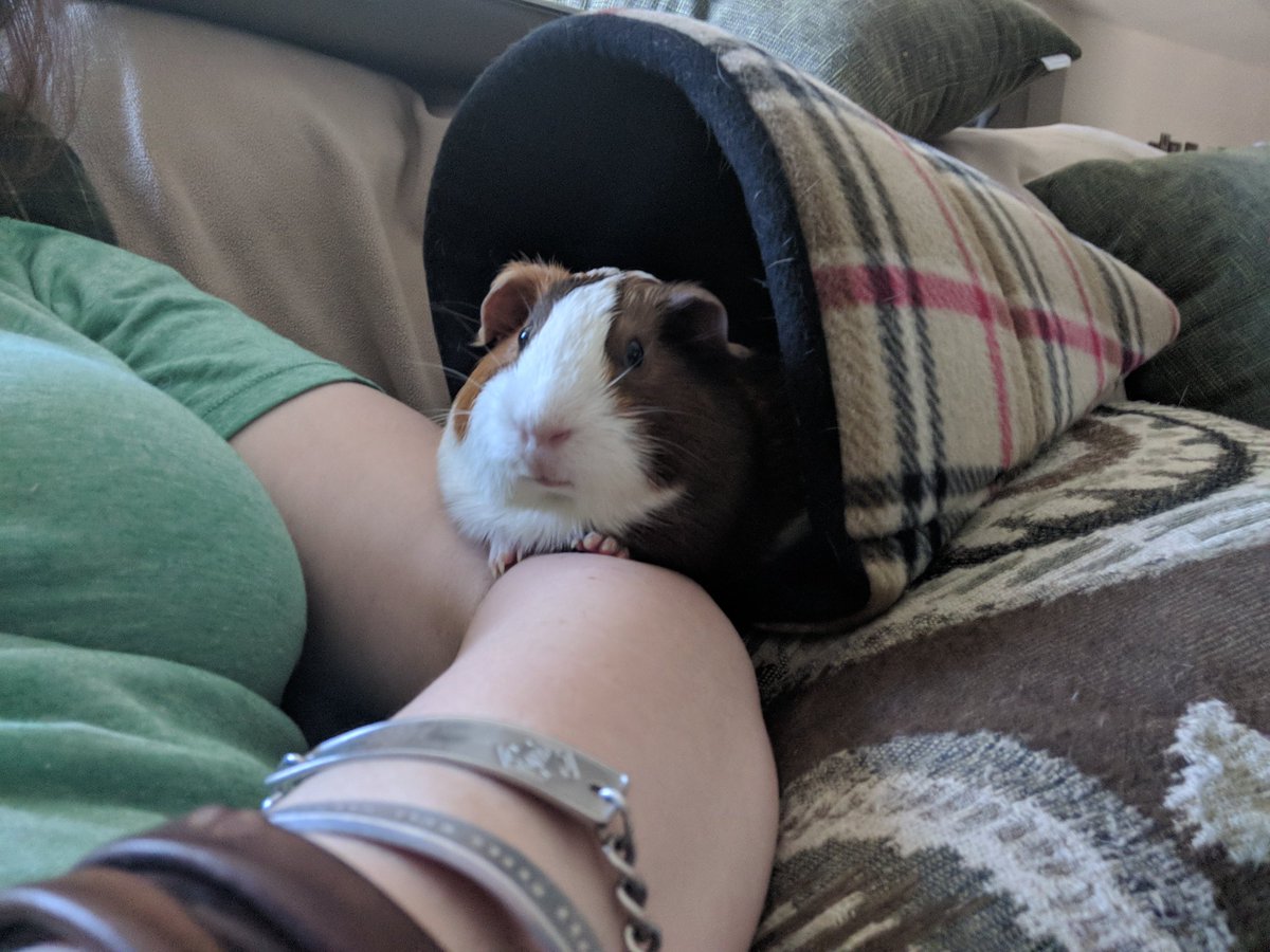 One of my Favorite Things to do on this planet has been using a cuddle cup and snooggling mum at ze same time. Mum always let me choose when I snooggle. All snooggle happen at My Discretion