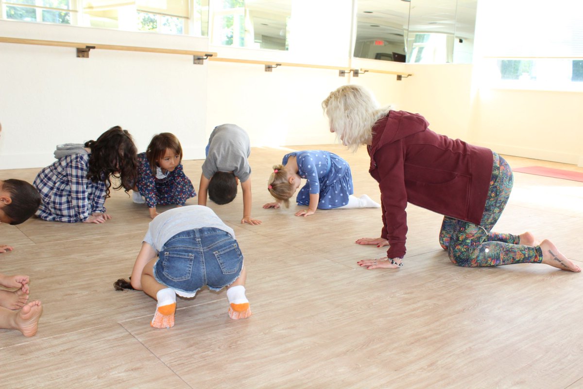 RidgewoodYMCA's tweet photo. The smallest yoga masters you've ever seen! 

Our preschool kids had a great time learning how to downward dog and cat pose with Ms. Devon today! 

#njkids #Bergencountymoms #NJkidsfun #preschool #preschoolactivities #earlylearning #earlychildhoodeducation #prek #earlychildhood https://t.co/U8jQed1zyY