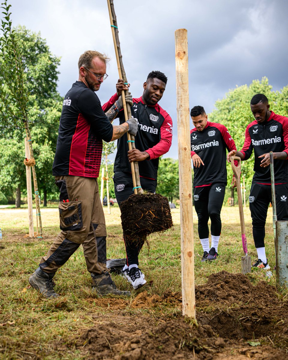 bayer04fussball's tweet photo. Auf Vordermann gebracht wurde in diesem Jahr die Anlange des Kleingartenvereins Burgloch in Schlebuschrath. Unter anderem wurden der Spielplatz instandgesetzt, die Streuobstwiese vergrößert und eine Werkself-Workout-Stadion errichtet. 👏👏

#Bayer04 | #04Hilft https://t.co/RXFhHPbog2