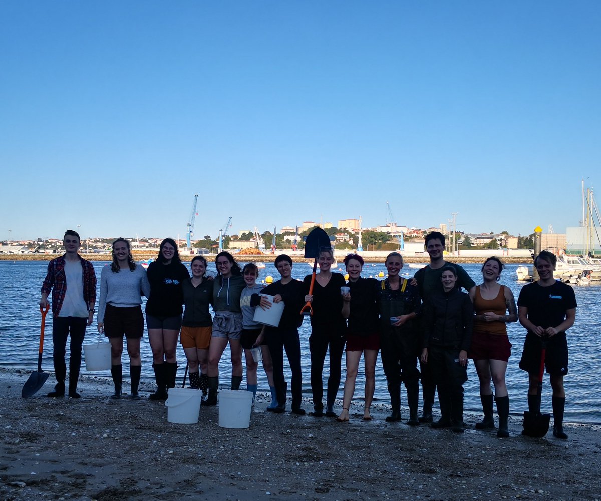 Finally in the field, even though tides are still weak. 2022 <a href="/UGoe_AEB/">Animal Evolution Biodiversity</a> <a href="/uniGoettingen/">Uni Göttingen</a> marine biology field course at @ebmg_usc in Ferrol,Spain.