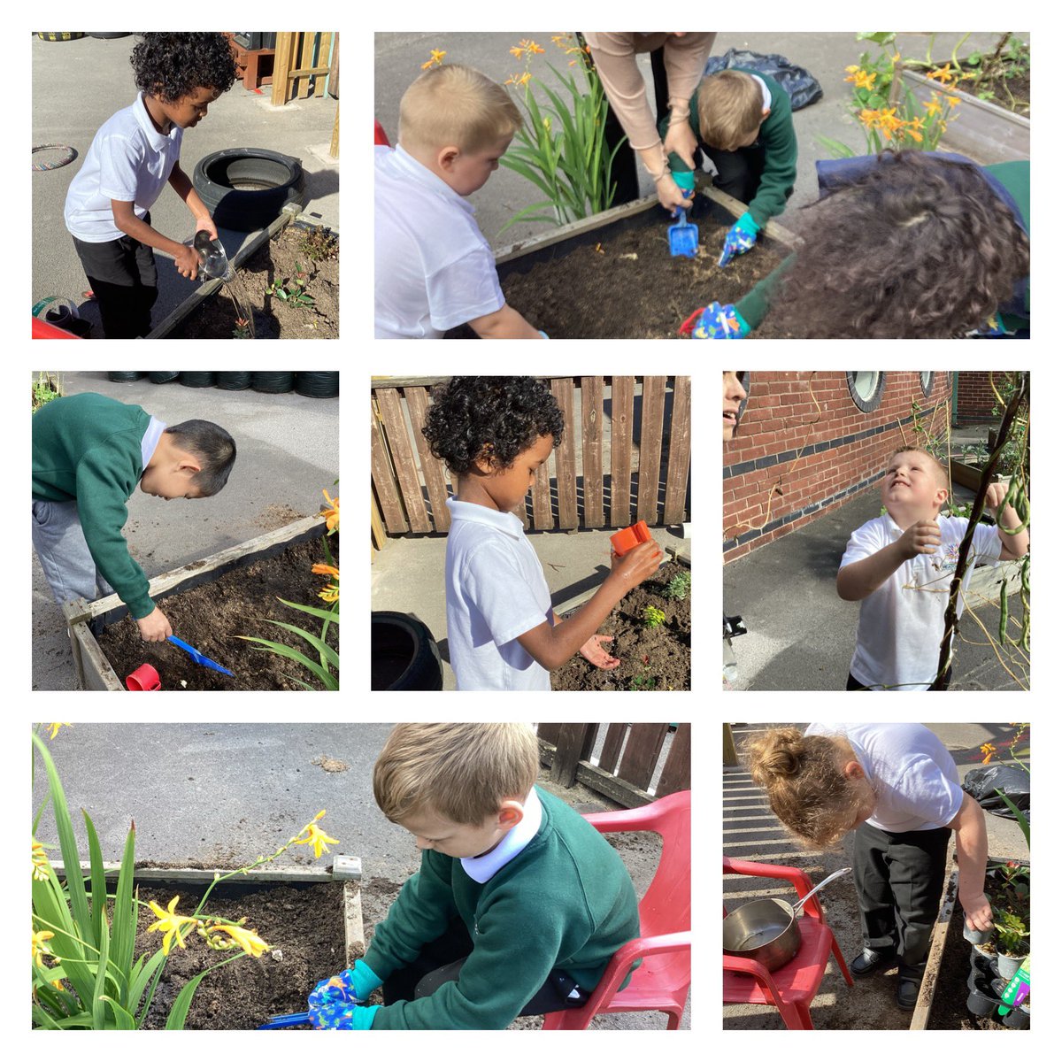 Meadowside.Buttercups tweet media