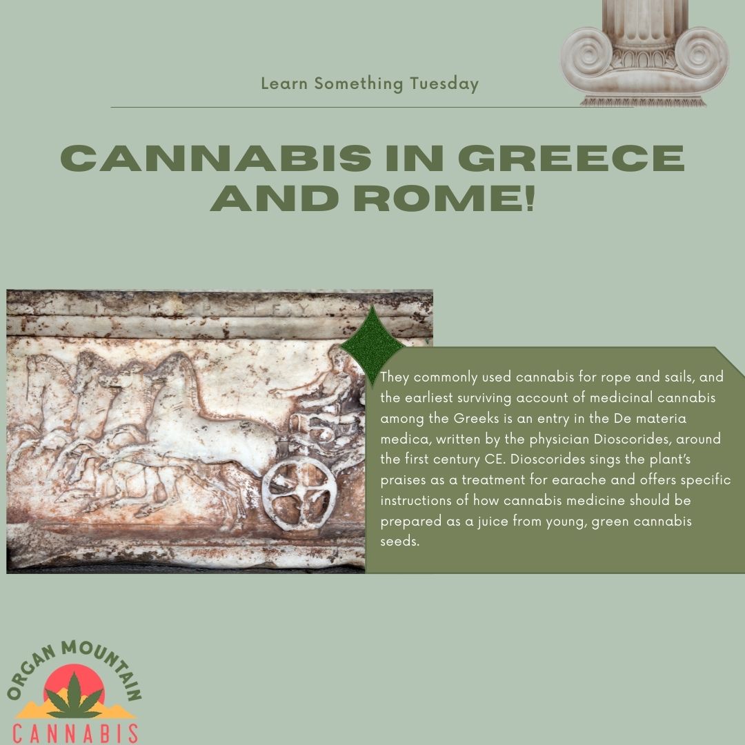 History Tuesday: Cannabis in Greece and Rome 

Source: leafly.com/news/cannabis-…

#organmountaincannabis #lascrucesnewmexico #cannabiscommunity #cannabisislife #lascrucescannabis