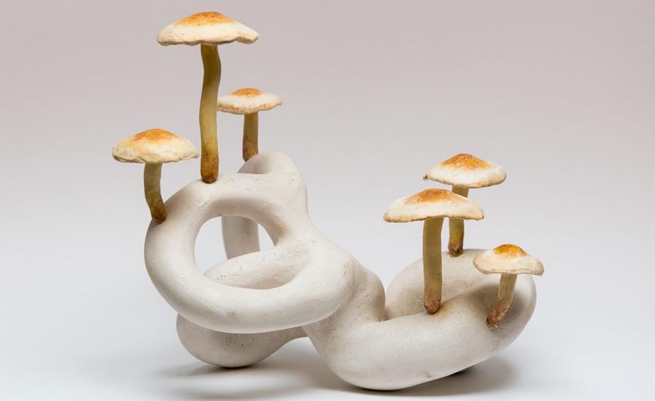 artpendix's tweet photo. Cochlea Brick Tuft
by Hamish Pearch
The Art, Design and Future of Mushrooms! New research is ready to make noise ๐
#hamishpearch #artpendix #contemporaryart #kunst #art #design #mushrooms https://t.co/Py3V3GeKDb