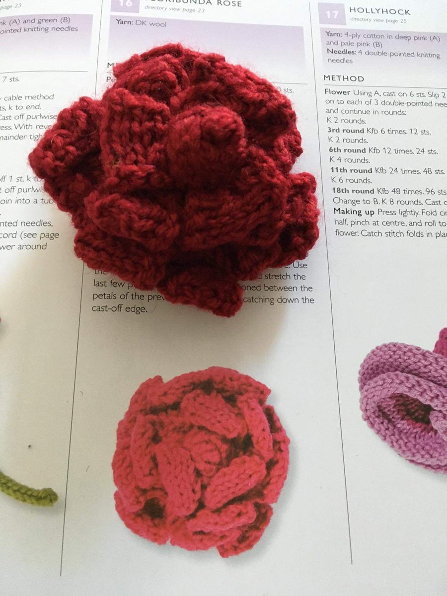 Janice has made a start on the Furness Pride harmony garden with a knitted rose #furnesspride2023 #harmonygarden #prideyarnbomb