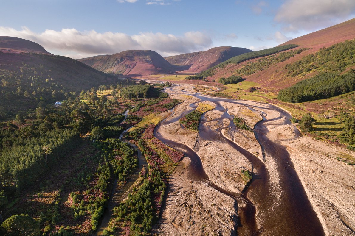 I'm delighted to be in Bristol next month at <a href="/stgeorgesbris/">St George's Bristol</a> showing Riverwoods and talking #rewilding with the brilliant <a href="/curlewcalls/">Mary Colwell</a>. Thx to <a href="/naturepl/">NaturePictureLibrary</a> for teeing this up. Do join us on Oct 10. stgeorgesbristol.co.uk/whats-on/2022/…