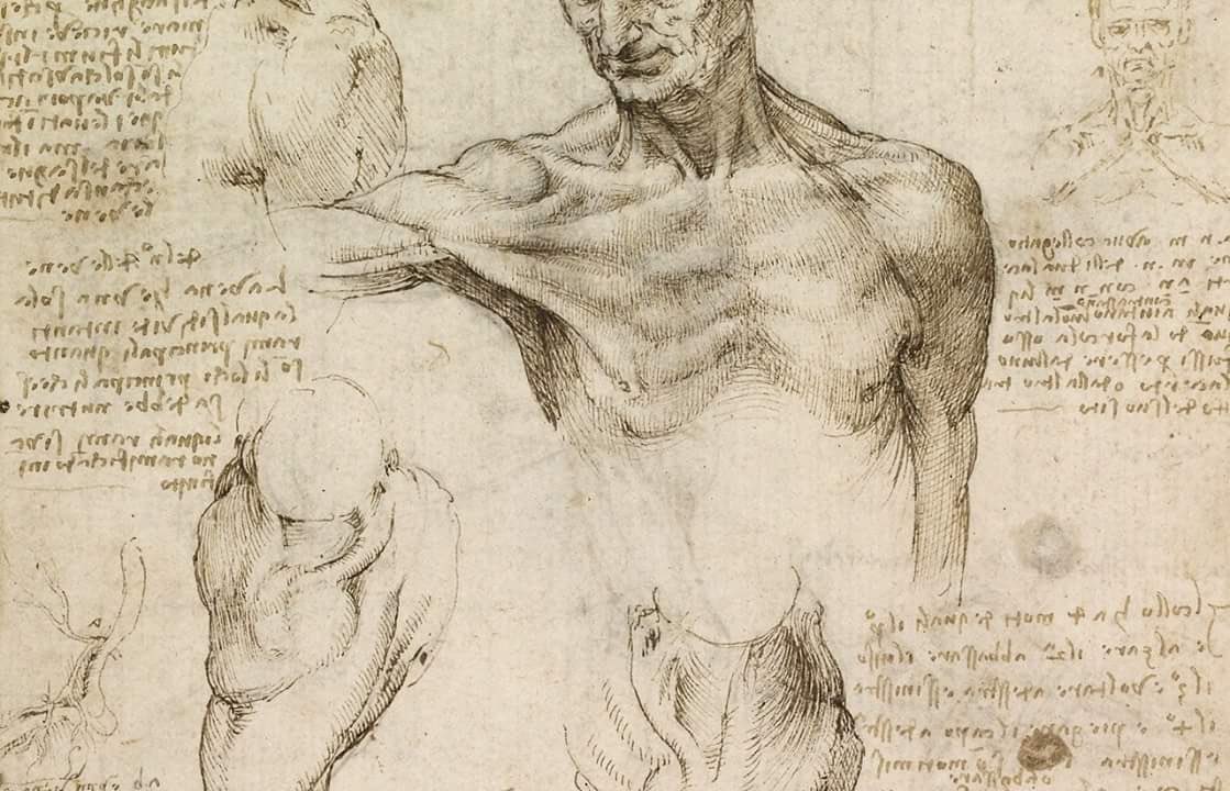 Drawings in Leonardo da Vinci's notebook