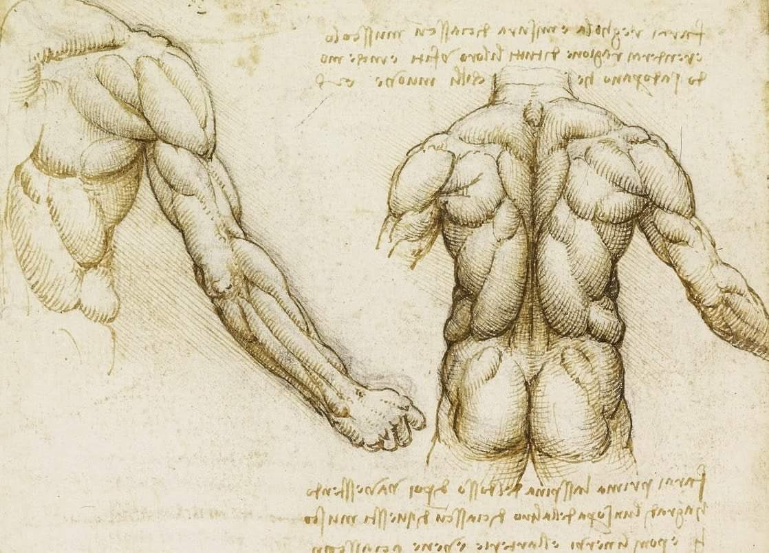 Academia Aesthetics tweet media
