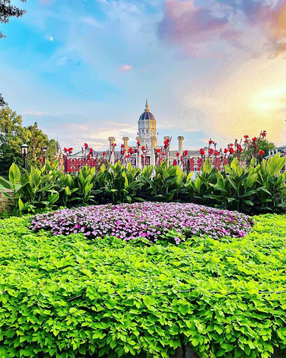 Callaway Combs tweet media