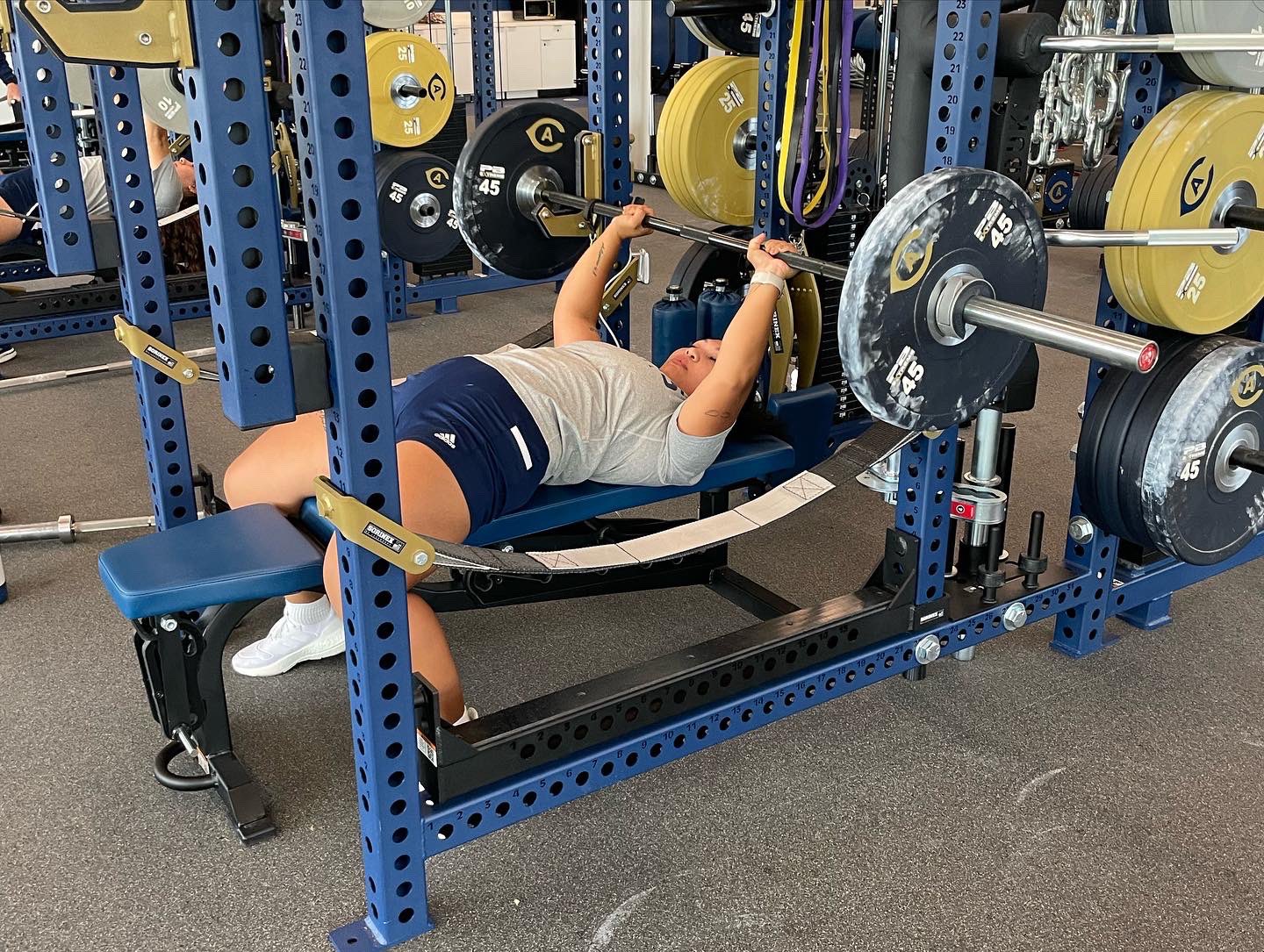 UC Davis Softball on Twitter: "UC Davis Softball day 1 in the books