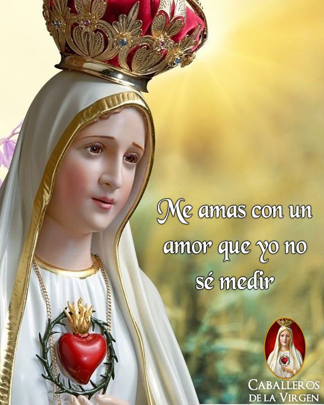 Caballeros de la Virgen tweet media