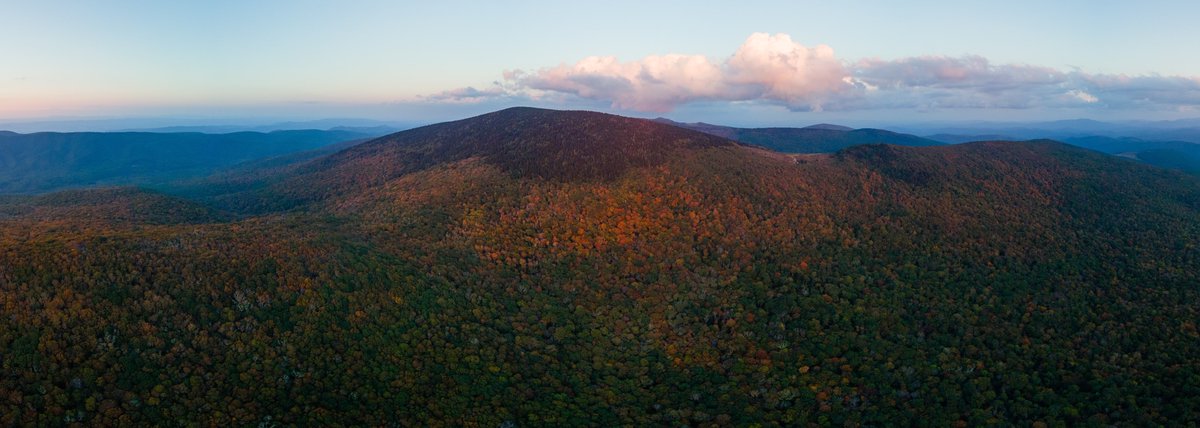 babowling12's tweet image. An aerial panorama of the NW facing slopes of Mt Rogers with current color conditions. Still very much green into the valley; but patchy fruity pebbles above 5300’! 

📍Mt Rogers, Va 

@FoliageReport @spann @JimCantore @WCYB_DavidBoyd @WSLS_Michaels @NWSBlacksburg