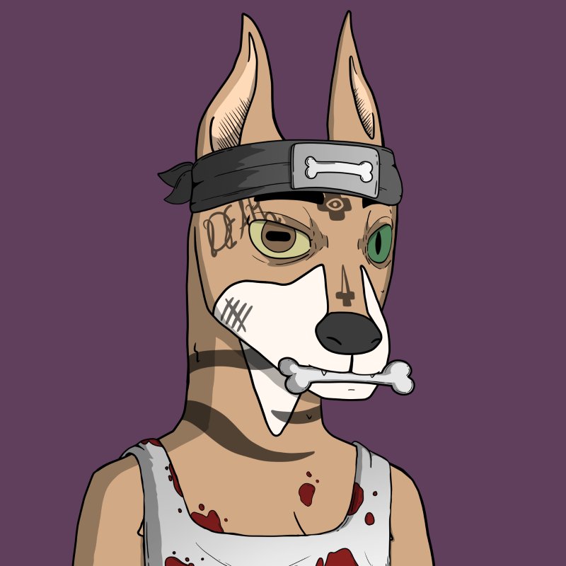 𝖀𝖈𝖆𝖓 tweet media