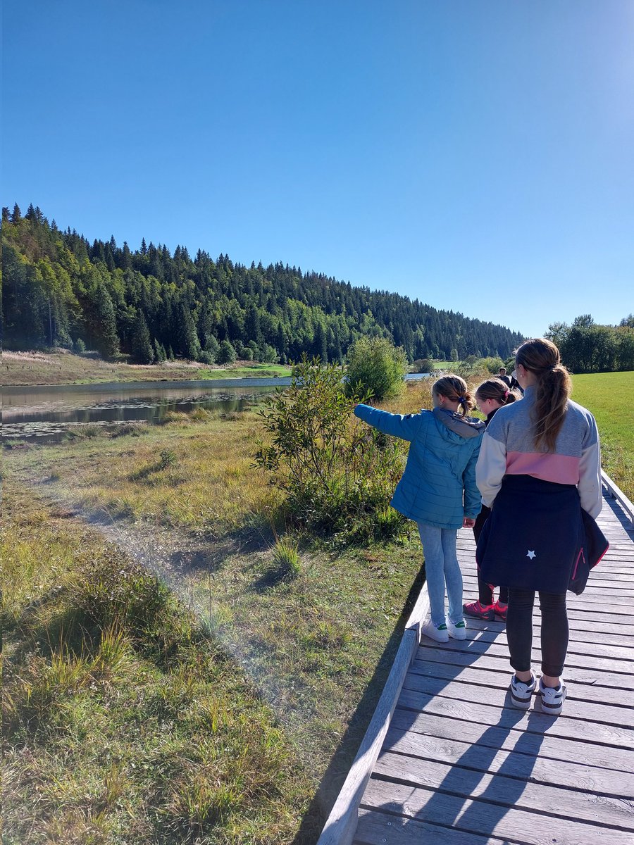 Découverte du lac de Lamoura et de la tourbière; observation de la faune, de la flore et balade au soleil!