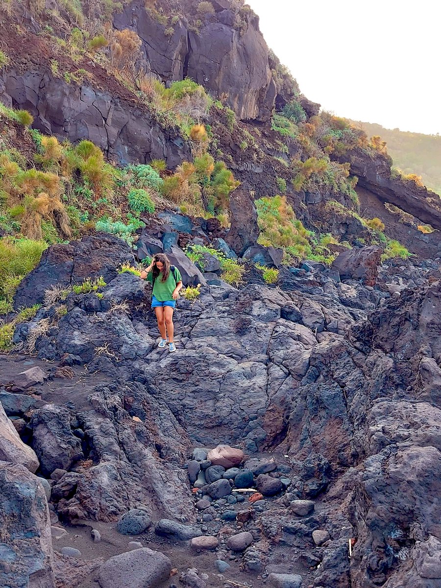 Lu_Laccetti's tweet photo. Cliff species and Aeolian landscapes: how lucky I am to be a botanist in the Mediterranean! 

#Botany #fieldwork #Sicily #Endangered #Evolution #PhD https://t.co/pb9LgE5PyD
