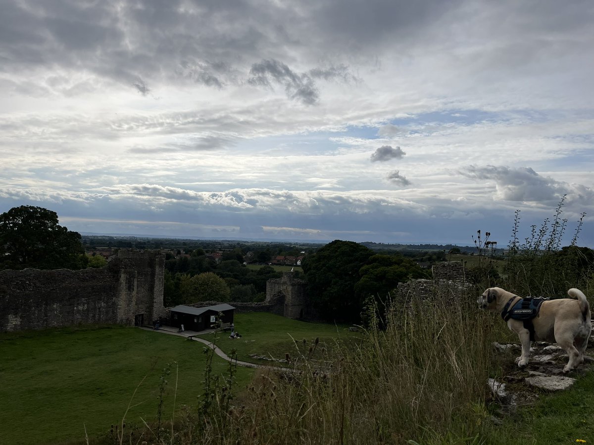 TheBullsHeadW4's tweet photo. #NorthYorkMoorsSenses #NorthYorkshire #pickeringcastle https://t.co/q7ff7yJepZ
