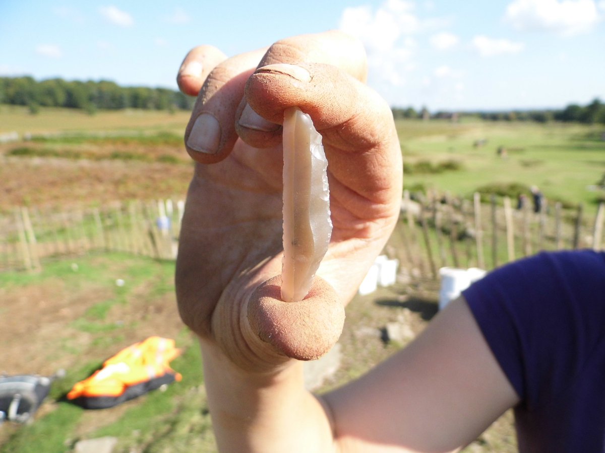 EMHERFonline's tweet photo. If this sounds like it might be your cup of #Pleistocene tea, or you want to find out more information about this stunning #CreswellianCulture flint artefact from @DigBradgate, book a ticket following the link below:

https://t.co/W30gA35eN5 https://t.co/I8fjw98oFf