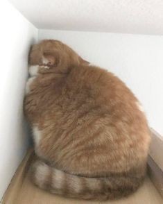 ystonsky's tweet photo. это я со своей тревожной депрессией, которая длится где-то год, пытаюсь помочь хоть кому-то, ибо мне уже ничего не поможет, а так хоть кто-то будет доволен: https://t.co/jfQvrsfCDr