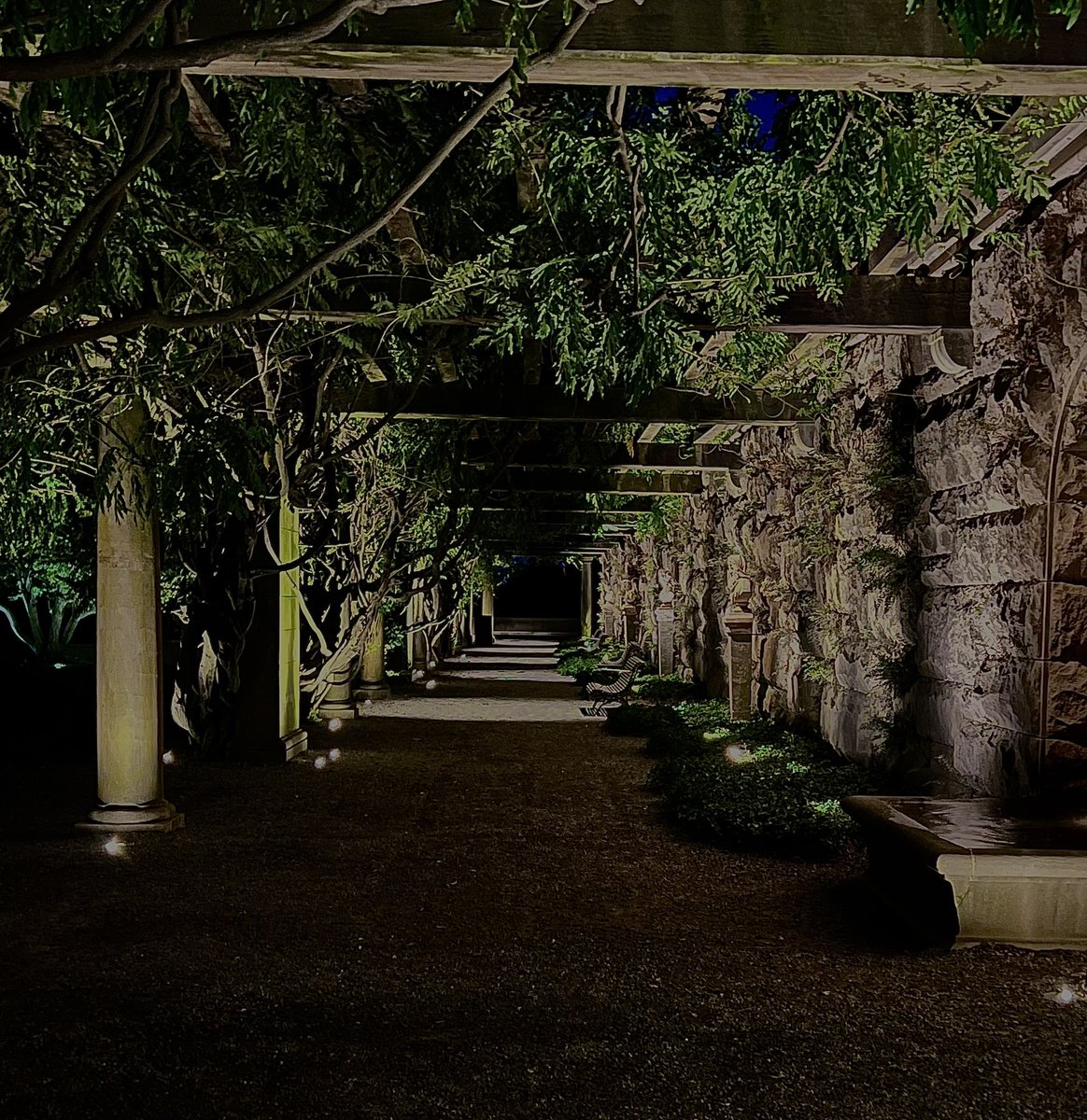 Gorgeous evening walk <a href="/BiltmoreEstate/">Biltmore Estate</a>   under the stars! It was so quiet in the Gardens and the air was crisp and cool!!