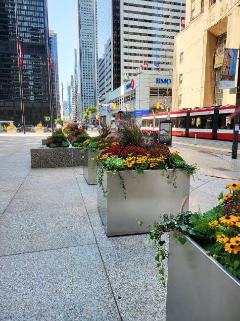 Beaverlands's tweet photo. Exterior fall plantings @ Commerce Court 🏢🌼 https://t.co/NFmvPmZnz6