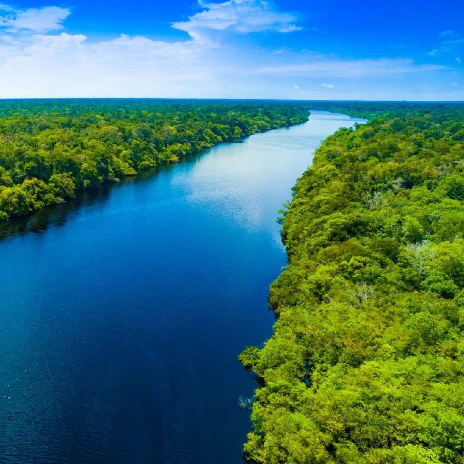 RachelMarks_LS's tweet photo. #TMSElementary siblings created these amazing slides 
#NationalForestWeek so that we can all learn about the importance of forests
(specifically the Amazon). Check out their work on our @TMSSCHOOL1 instagram page and do your part to support forests in your community! 🍀🌱🌺 https://t.co/BO8u2f9A9G
