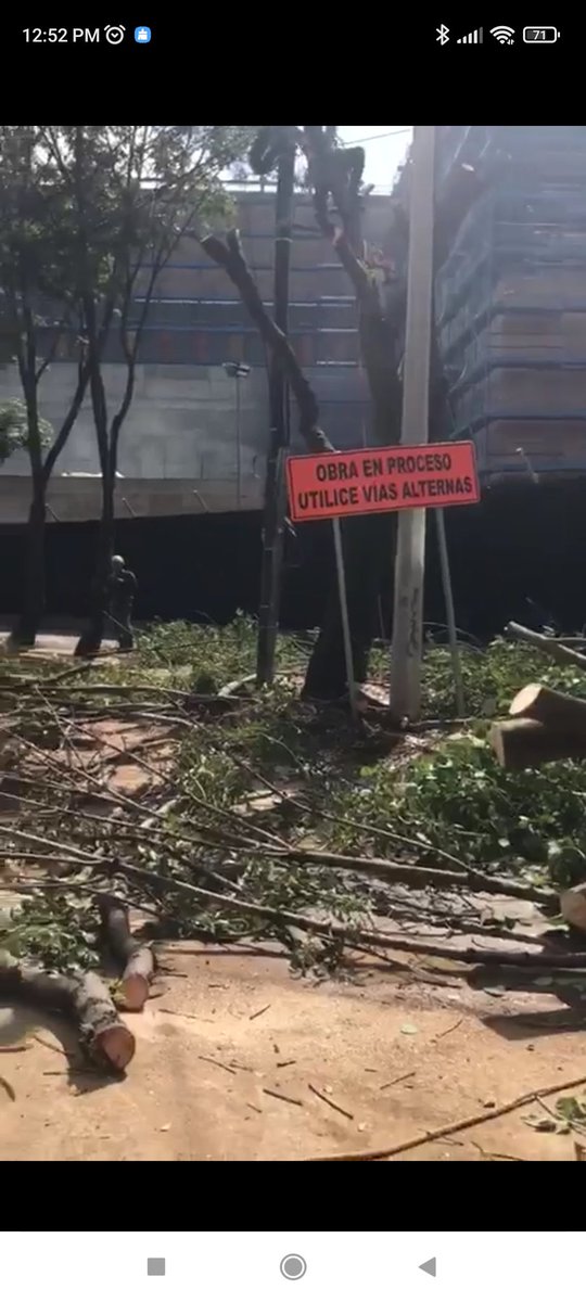 ferchinagon's tweet photo. En la glorieta de legaría dónde se está construyendo la #embajadadeEstadosUnidosAmerica están #talando árboles aunque algunos están protegidos por leyes estatales y federales. #desobediencia civil #EmbajadaUSAecocida @SEDEMA_CDMX @GobCDMX @AlcaldiaMHmx #noalataladearboles https://t.co/ovENWoq75R