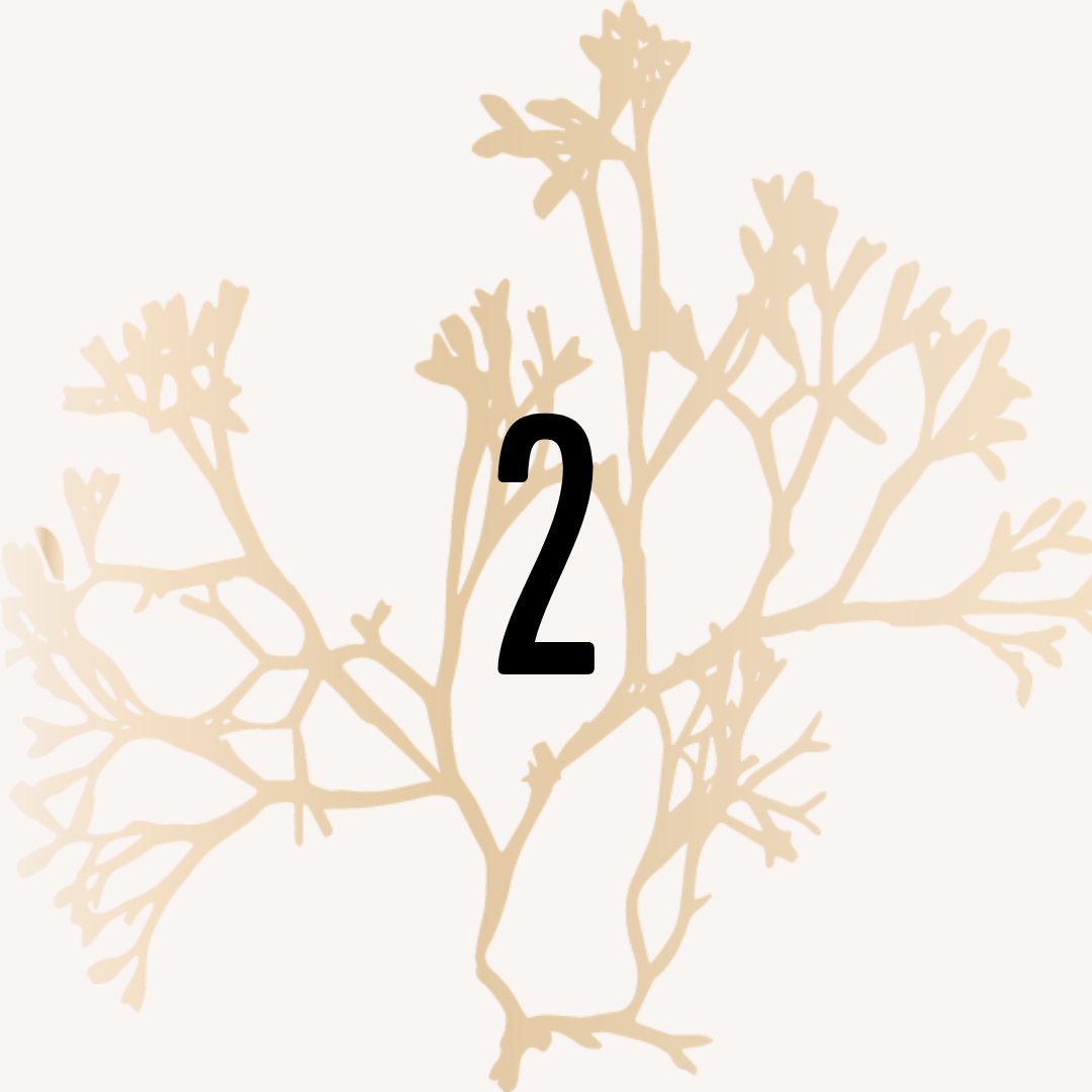 GenerateHope's tweet image. 2 days until A Story of Freedom gala!⁠
-⁠
-⁠
- ⁠
#humantrafficking #antitrafficking #endhumantrafficking #enditmovement #humantraffickingawareness #nonprofit #annualfundraiser #gala #endsextrafficking
