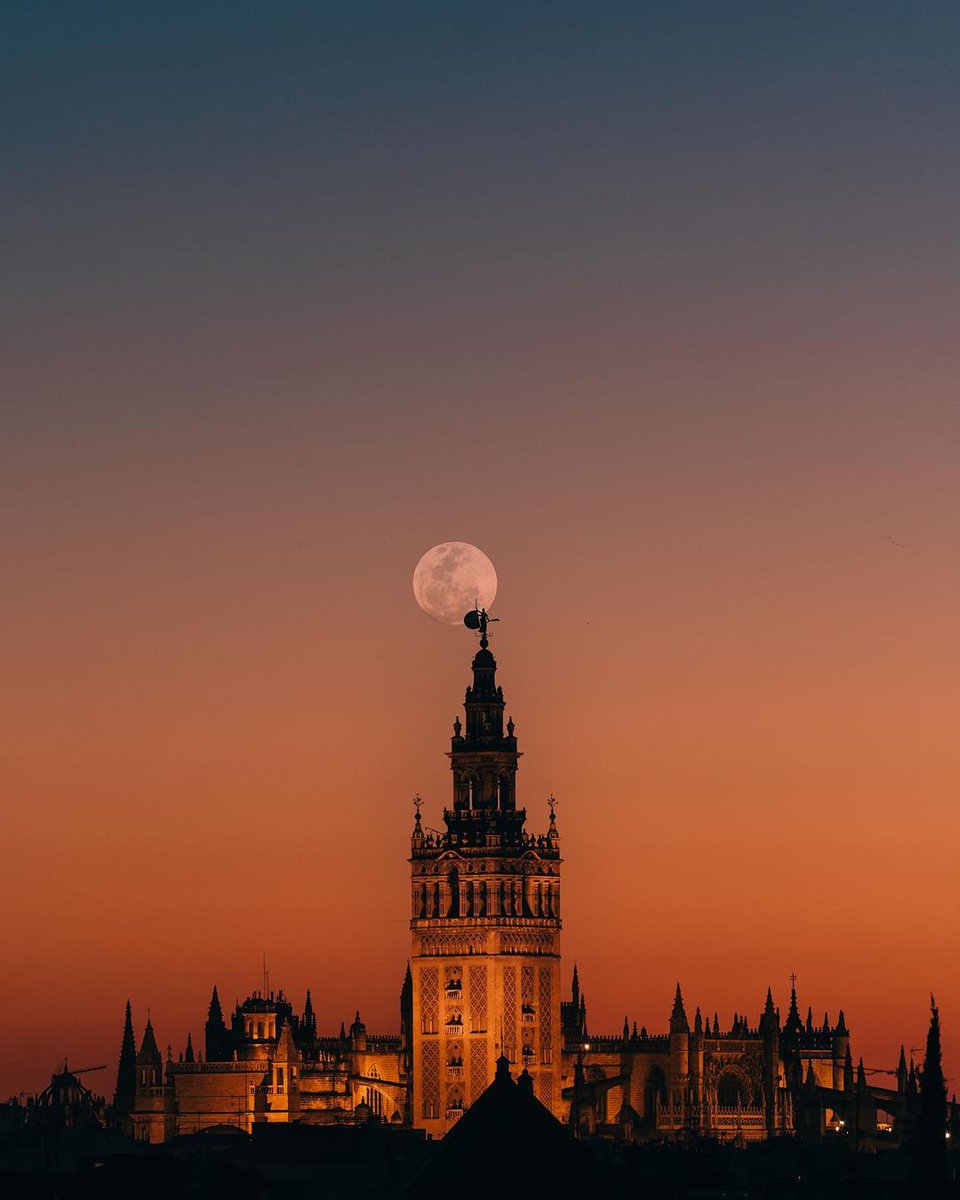 sevilla_secreta's tweet photo. Te enamora.
.
.⁣⁣⁣⁣⁣⁣⁣⁣⁣⁣⁣⁣⁣⁣⁣
📸 @planb.voyage https://t.co/9rYn1R88Jc