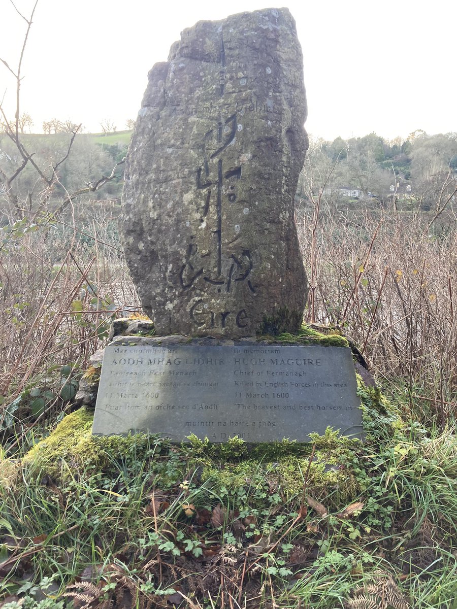 Jill Daly tweet media