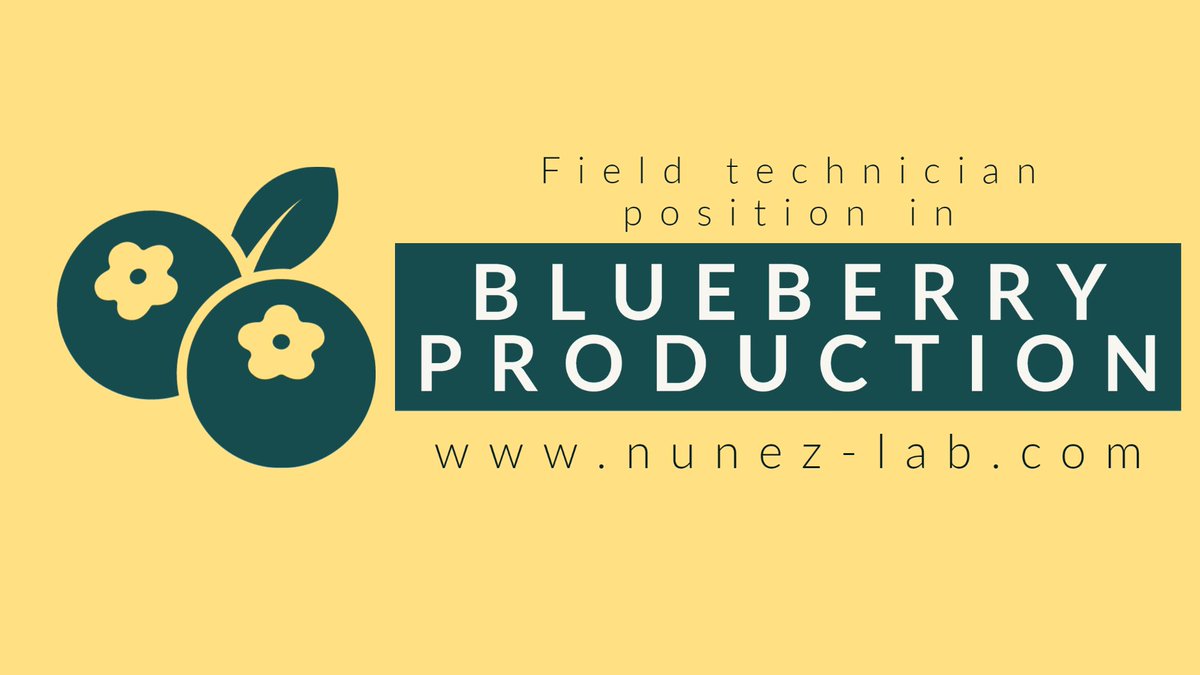 GNunezUF's tweet image. We are looking to recruit a new team member to help us manage and harvest our 🫐 fields. More details in: nunez-lab.com
Please RT