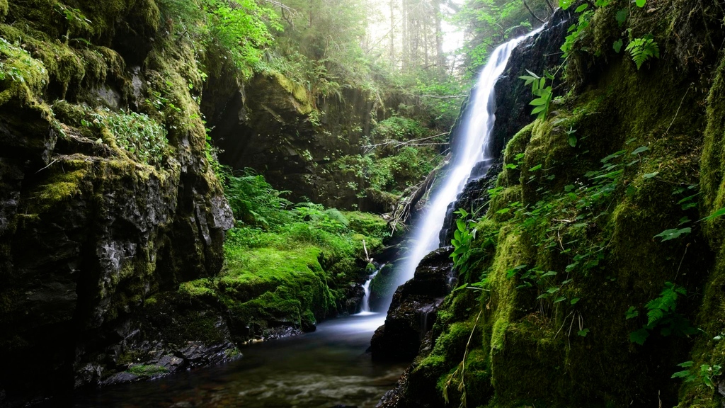 xexplore's tweet photo. Driving up to Mosquito Meadows I noticed a dark shadow and gap just off the forest road. This small but picturesque waterfall on Pinto Creek was the reward for pulling off to investigate.
#wonderwashington #getlostadventuring #pnwhiking
#YourShotPhotographer https://t.co/FXaNfa75rF