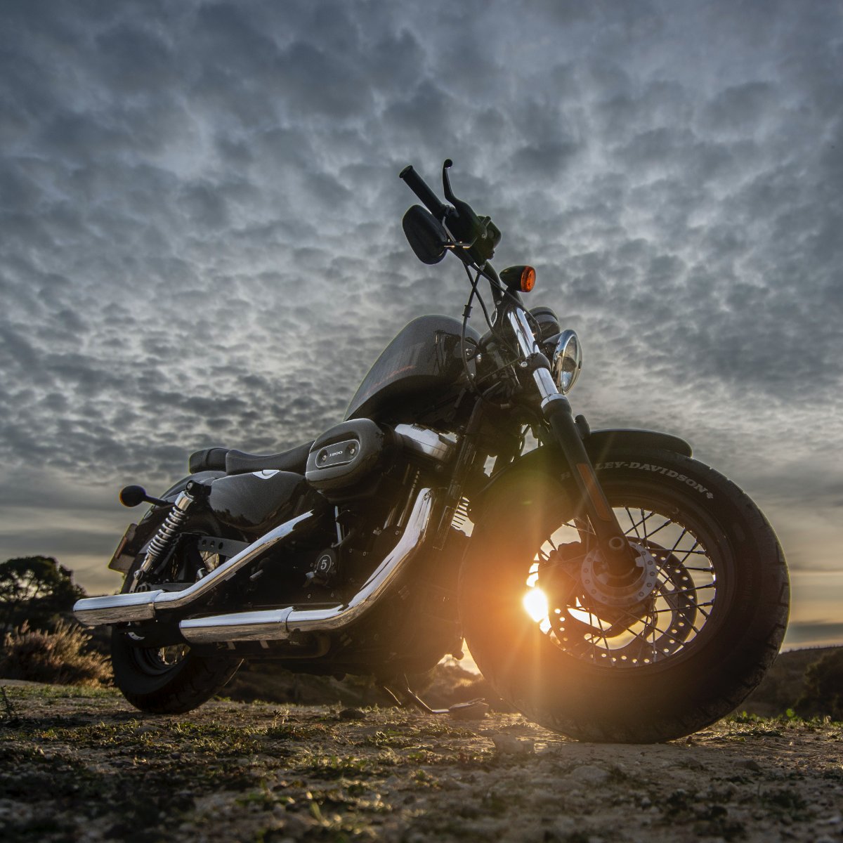 SacramentoHD's tweet photo. Wherever the road takes you this fall, you can get there in style. Visit our website today to get started on your search: https://t.co/e3IhnDTI4h https://t.co/2Mayy9em4r