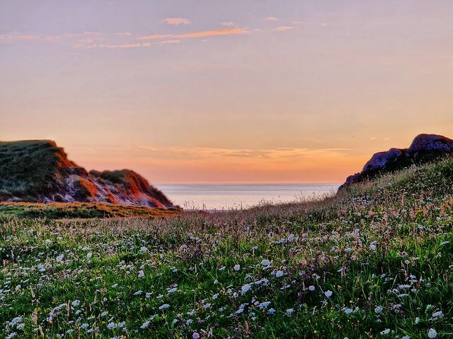 Wild About Argyll | Scotland’s Adventure Coast (@wildaboutargyll) on Twitter photo Who would you watch the sunset with here? 🌅 #Coll enjoys some of the highest sunshine hours in the UK, so be sure to take a walk on the secluded beaches, marvel at the fantastic wildlife and enjoy a dram or two in the friendly <a href="/CollHotel/">Coll Hotel</a> 🙌
📍 Isle of Coll
📷 IG rach.underwater Who would you watch the sunset with here? 🌅 #Coll enjoys some of the highest sunshine hours in the UK, so be sure to take a walk on the secluded beaches, marvel at the fantastic wildlife and enjoy a dram or two in the friendly <a href="/CollHotel/">Coll Hotel</a> 🙌
📍 Isle of Coll
📷 IG rach.underwater