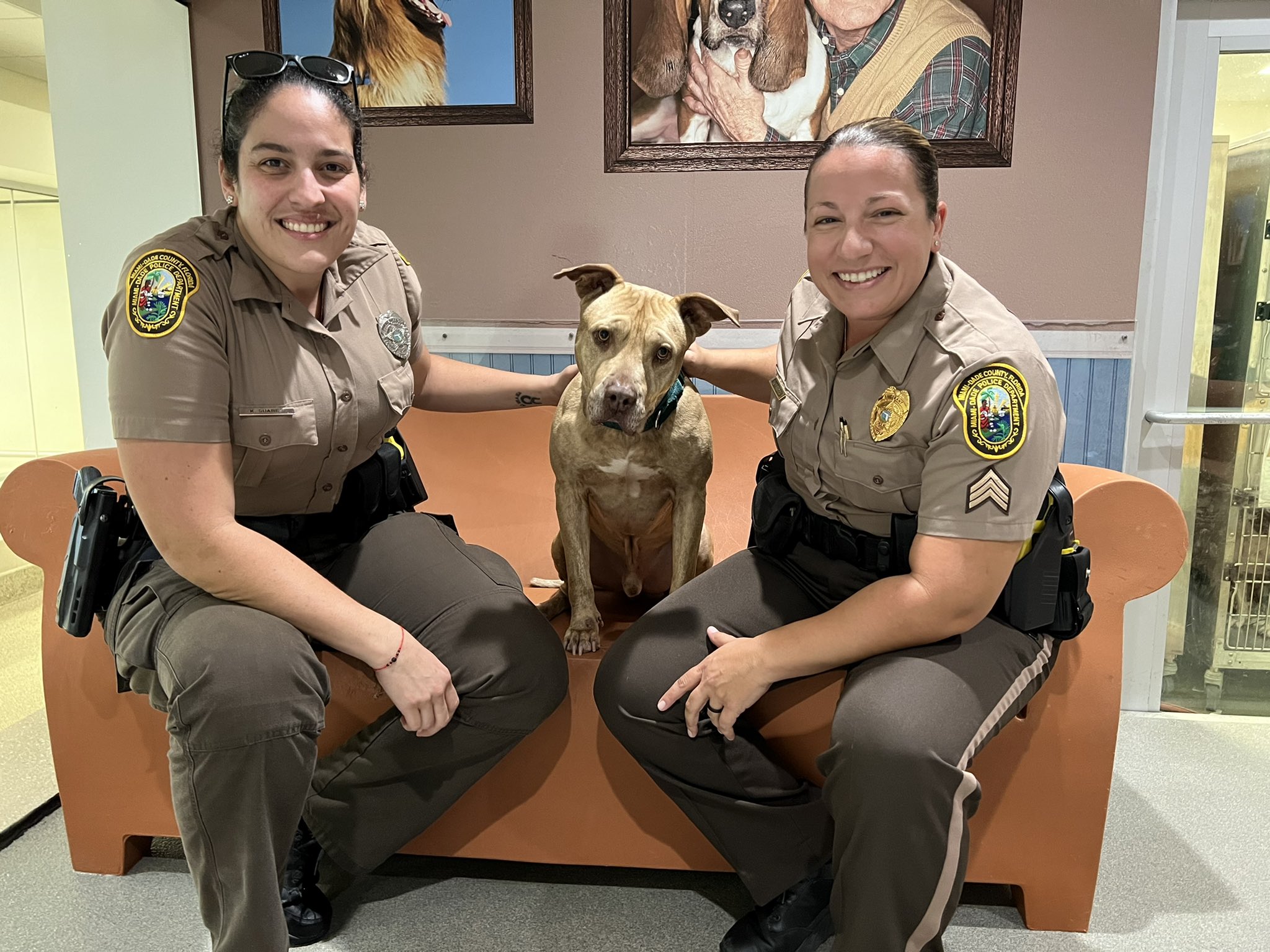 Miami-Dade Police on Twitter: Miami-Dade Police on Twitter: