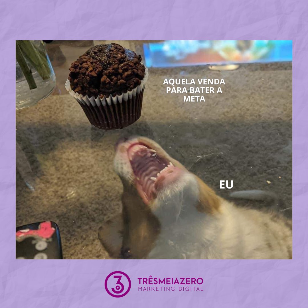 ag_tresmeiazero's tweet photo. Final do mês chegando e a gente já fica como? 🥲
#corretordeseguros #corretor #planodesaude #vendedor #sulamerica #hapvida #intermedica #unimed #marketingdigital #leads #marketing https://t.co/2aMsSNsEA8