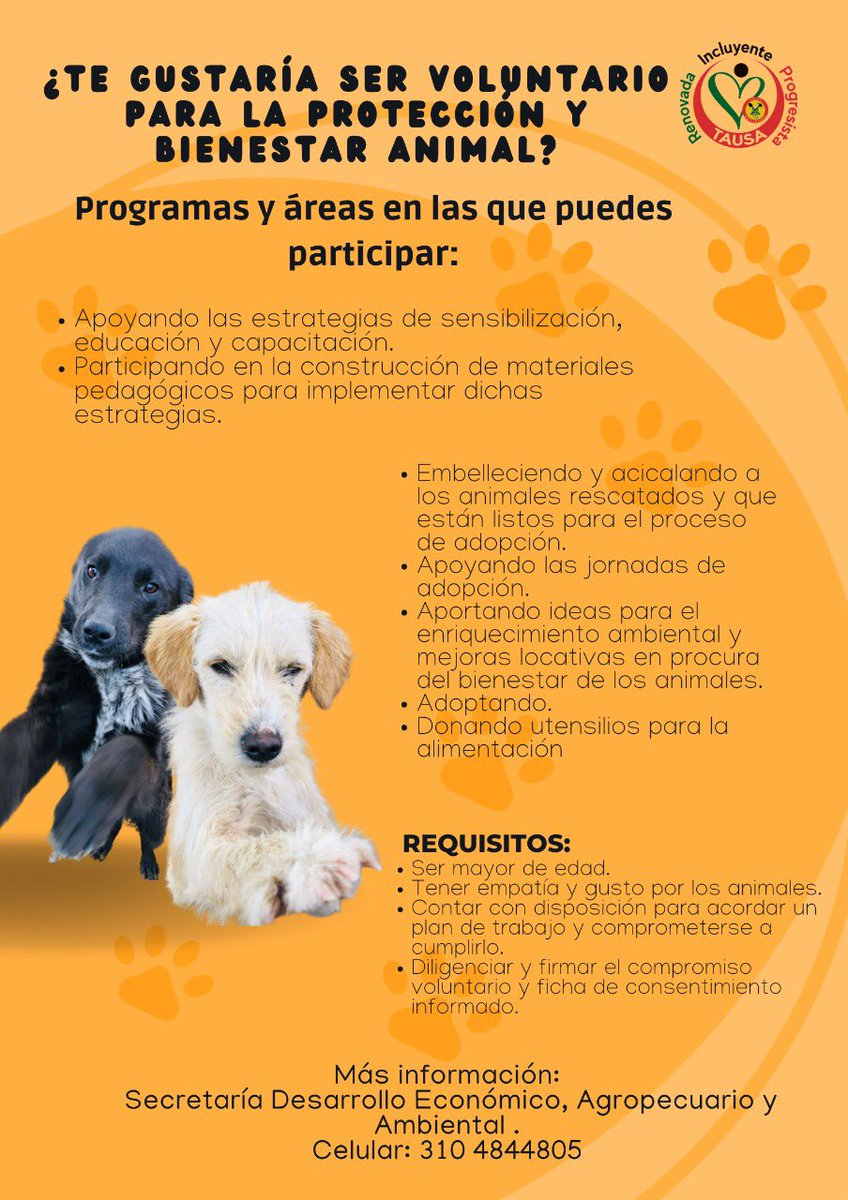 quirogabibiana's tweet photo. Tenemos perritos en adopción en @municipio_tausa dale un hogar a un peludo. @AlejandroRia @DanielSamperO @MONYRODRIGUEZOF #AdoptaNoCompres https://t.co/e6yTjq1tlX