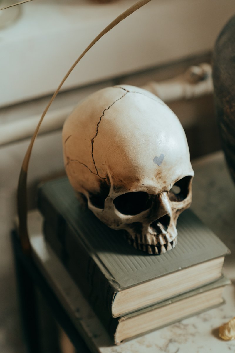 c_cairn1's tweet photo. #28 None of us are getting out of here alive

Check out my latest content as a female Chief Exec – a curious mixture of morbid and genuinely positive 👇
https://t.co/FDg4fGBKBs

#somethingyoushouldknow #feminism #advice https://t.co/rrVVRQhxIk