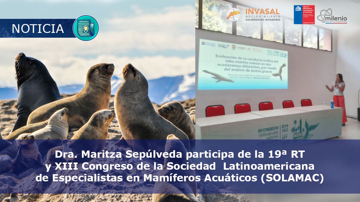 centroiriscl's tweet photo. @Maritza_Sep, presidenta de #SOLAMAC e investigadora principal de @invasalCL expuso sobre el rol de los lobos marinos como potenciales controladores de #salmónidos 🦭
Además finalizó con un recuento de avances de la sociedad durante su periodo

🔗 noticia:https://t.co/Jd7GriXhiK https://t.co/HjpPStMTj0