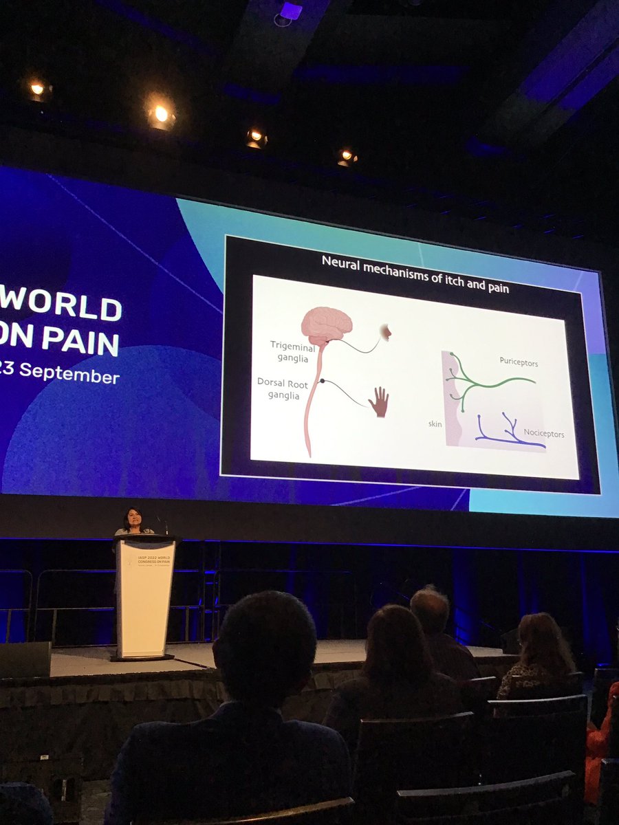 MacaTejosB's tweet photo. Ready for an itchy talk? 👀🫰🤔Dra. Diana Bautista @Bautista_DianaM is ready to present her talk about Peripheral Neuroimmune Interactions in Itch and Inflammation. Don’t miss it! #IASP2022 @IASPpain @PainResForum https://t.co/PdDtqpYTaN