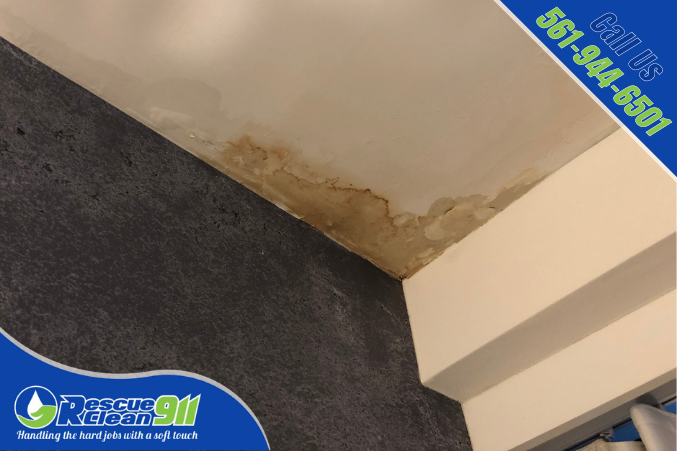 RescueClean911's tweet photo. Never let even a small leak in your roof go uncorrected.

Rescue Clean 911 provides emergency roof repair, we can come 24 hours a day, provide tarp and protection, and make sure that your roof is repaired.

So visit us to know more: https://t.co/lXs1wseguG #leakyroof #soflo https://t.co/eC7bXHLjCy