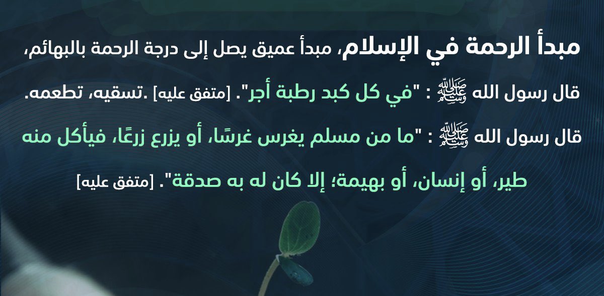 قناة المجتمع السعودي tweet media