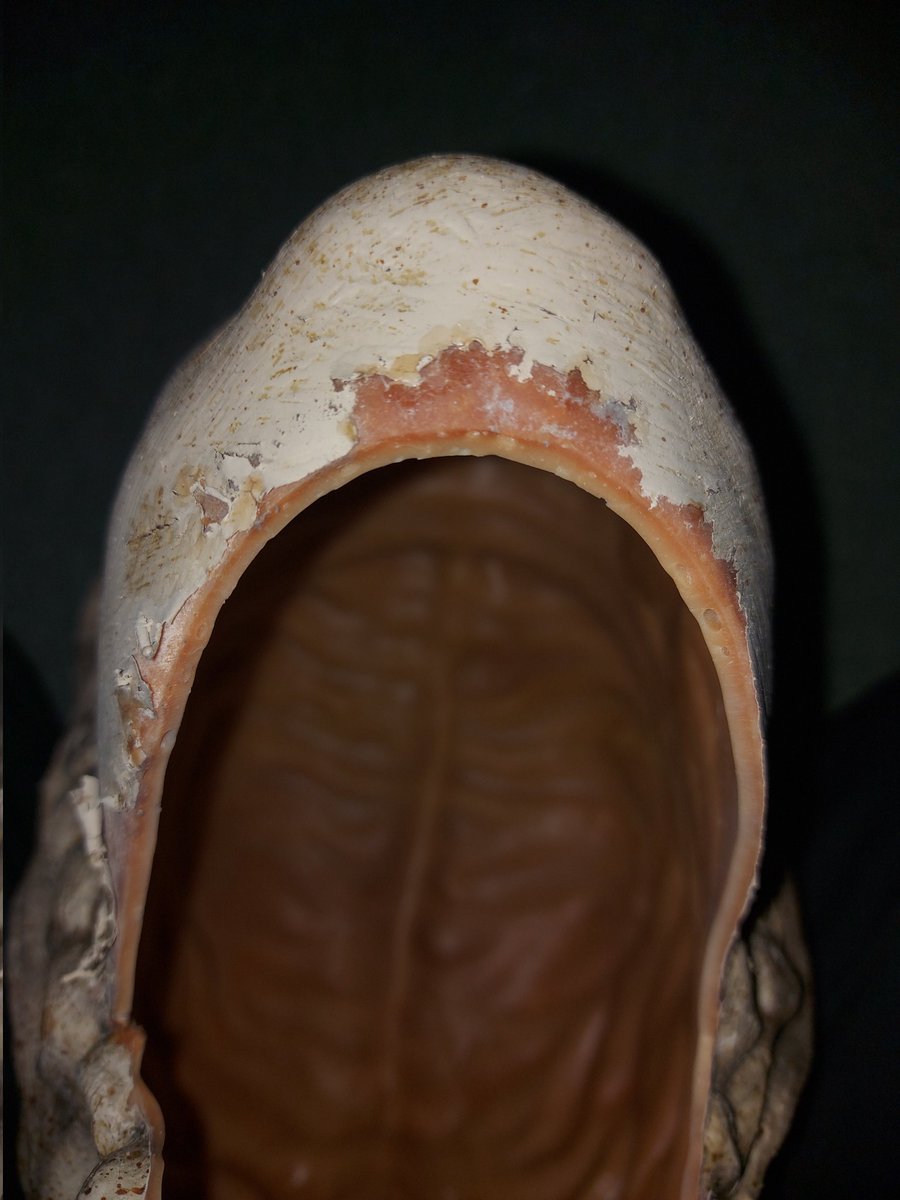 The Winter Doctor tweet media