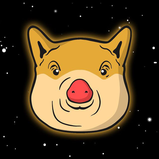 Max70007's tweet photo. @CryptoCoreyy @cryptogems555 ๐ฝ๐ฝ๐๐๐ #Pigelnu #PigeArmy @PigeInu https://t.co/3tJ9p0HGjg